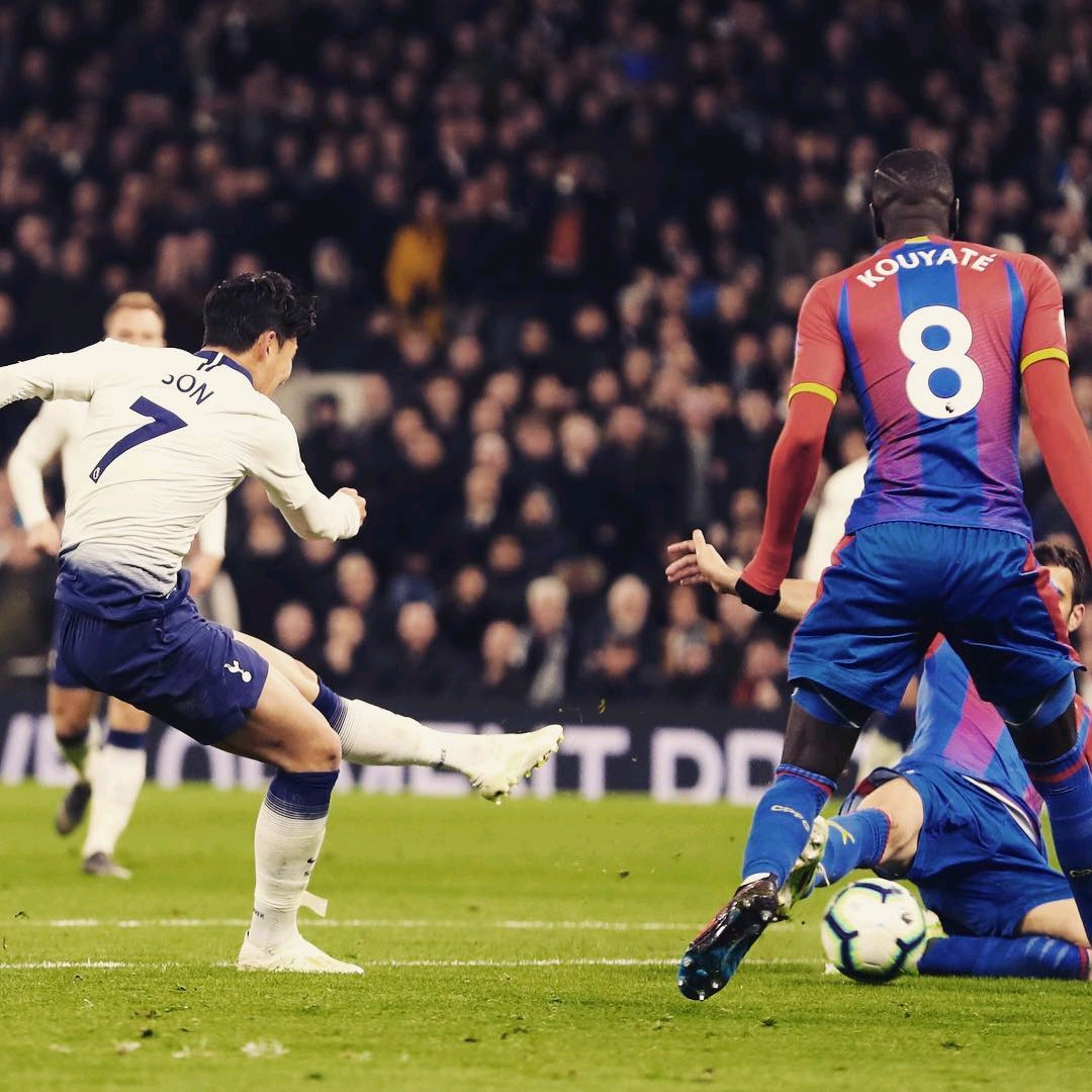 成为了球迷 成为了球迷