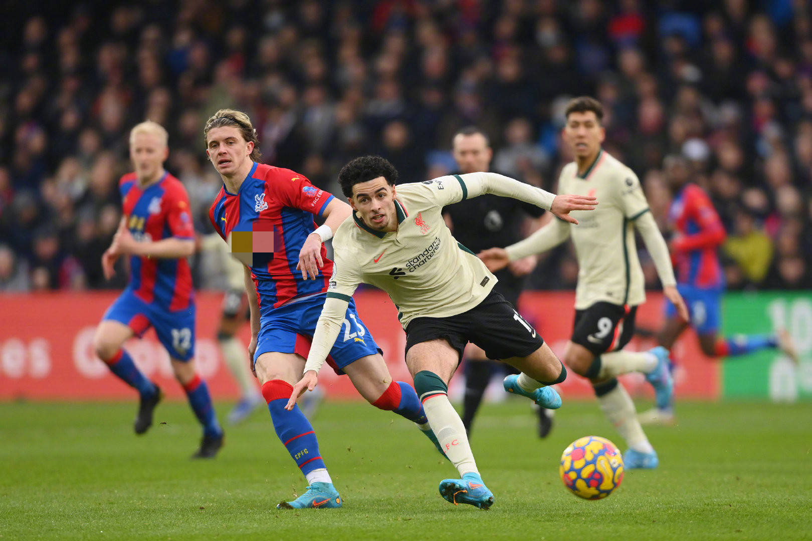 意味着他将 意味着他将